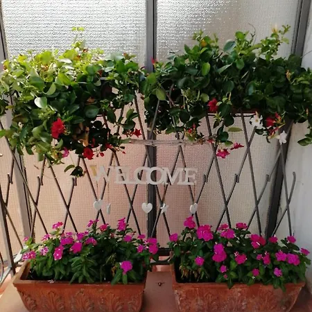 Casa Castellano Bed & Breakfast Nola